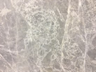 Ʒ - Skarlis Marble